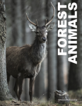 Forest Animals by Julianna Photopoulos